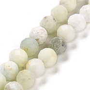 Natural Green Opal Beads Strands, Faceted, Round, 6mm, Hole: 0.7mm, about 62pcs/strand, 15.55''(39.5cm)(G-Z035-A02-04A)