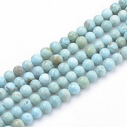 Synthetic Turquoise Beads Strands, Dyed & Heated, Round, 8mm, Hole: 0.5mm, about 51pcs/strand, 15.7 inch(G-Q953-03-8mm)