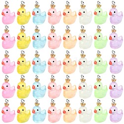 40Pcs 8 Colors Transparent Resin Pendants, Duck Charms with Crown, with Stainless Steel Color Plated 304 Stainless Steel Loops, Mixed Color, 23x17x13mm, Hole: 2mm, 5pcs/color(RESI-SZ0003-27)
