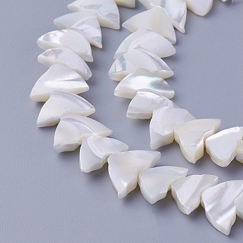 Shell Beads Strands, Triangle, 5.7~8.1x11~12x3~3.3mm, Hole: 0.7mm, about 62pcs/strand, 15.9 inch(40.4cm)
