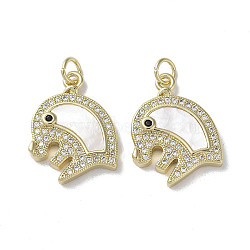 Brass Micro Pave Cubic Zirconia Pendants, with Shell, Elephant, Real 18K Gold Plated, 21x16x3.5mm, Hole: 3mm(KK-G485-24C-G)