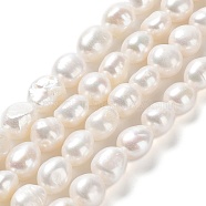 Natural Cultured Freshwater Pearl Beads Strands, Two Side Polished, Grade 3A, Seashell Color, 10~11.5x10~11x8~9mm, Hole: 0.6mm, about 32pcs/strand, 14.17''(36cm)(PEAR-Z002-14)