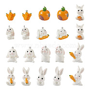 20Pcs 10 Styles Opaque Resin Pendants, Carrot & Rabbit Charms, with Platinum Tone Iron Loops, Mixed Color, 24.5~42x19~31.5x21~31mm, Hole: 2mm, 2pcs/style(RESI-BT0001-27)