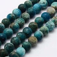 Natural Apatite Beads Strands, Round, Frosted, 7.5~8mm, Hole: 1mm, about 47pcs/strand, 14.9 inch~15.3 inch(G-K193-8mm-12)