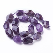Natural Amethyst Beads Strands, Faceted, Polygon, Indigo, 19~22x12~18mm, Hole: 1.5mm, about 16~17pcs/strand, 15.15 inch~16.14 inch(38.5~41cm)(G-P434-30A)