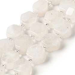 Natural Rainbow Moonstone Beads Strands, Hexagon, with Seed Beads, 8.5~9x8.5~10x4~5mm, Hole: 1mm, about 37~38pcs/strand, 15.55''~15.75''(39.5~40cm)(G-P534-A06-02)