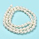 Natural Cultured Freshwater Pearl Beads Strands(PEAR-E016-170)-3