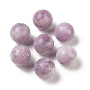 Natural Lepidolite No Hole Sphere Beads, Round, 16mm(G-K353-04D-38)