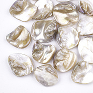Freshwater Shell Beads, Chip, Light Khaki, 18~22x15~21x7.5~10mm, Hole: 0.8mm(SSHEL-T005-11)