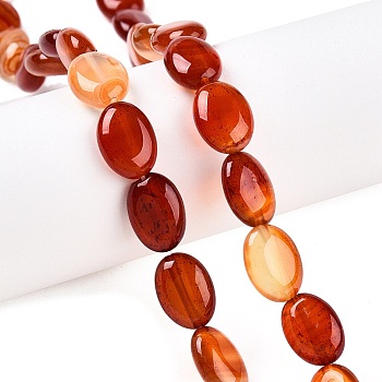 Natural Red Agate Beads Strands, Flat Oval, 14x10x5.5mm, Hole: 1.2mm, about 28pcs/strand, 15.55''(39.5cm)