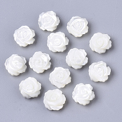 Natural Trochid Shell/Trochus Shell Beads, Double-Sided, Flower, Seashell Color, 10x5mm, Hole: 0.8mm(SSHEL-N034-40B-01)