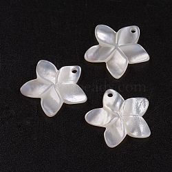 Natural White Shell Mother of Pearl Shell Pendants, Flower, 18.5x19x2mm, Hole: 1.5mm(SSHEL-G014-60)