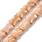 Electroplate Glass Beads Strands, Rainbow Plated, Faceted, Bamboo, Dark Salmon, 11x8.5x5.5mm, Hole: 1.4mm, about 40pcs/strand, 16.54''(42cm)(GLAA-D013-06C)