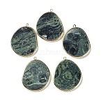 Natural Rhyolite Jasper Pendants, with Brass Findings, Golden, 33.5~34x27x2mm, Hole: 1.5mm(G-E526-09G)