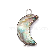 Natural Abalone Shell/Paua Shell Pendants, with Silver Color Plated Brass Loops, Moon, 19x10.5x3.5mm, Hole: 2mm(PALLOY-JF02701-02)