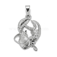 304 Stainless Steel Pendants, Textured, 12 Constellations/Zodiac Signs, Cancer, 36.5x27x4.7mm, Hole: 10x4.5mm(STAS-D165-14P-08)