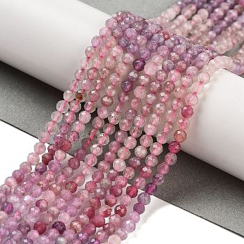 Natural Plum Blossom Tourmaline Beads Strands, Faceted, Round, 3.5mm, Hole: 0.5mm, about 121pcs/strand, 15.55 inch(39.5cm)