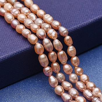 Natural Cultured Freshwater Pearl Beads Strands, Potato, Dark Salmon, 5~7x4~4.5mm, Hole: 0.5mm, about 70~71pcs/strand, 15.35~15.55 inch(39~39.5cm)