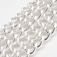 Iron Twisted Chains, Curb Chains, Unwelded, Faceted, Oval, Silver, 17x13x2.8mm(X-CH-R046-02S)