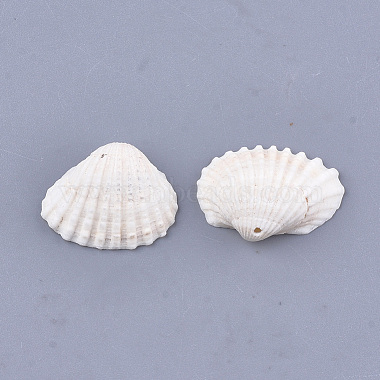 Clam Shell Pendants(SSHEL-S258-60)-2