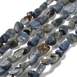 Natural Kyanite Beads Strands, Nuggets, Tumbled Stone, 7~13x4.5~10x4.5~10mm, Hole: 1.2mm, about 44~46pcs/strand, 15.08''~16.14''(38.3~41cm)(G-P497-01E-40)