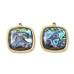 Natural Paua Shell Pendants, Square Charm, with 304 Stainless Steel Findings, Ion Plating(IP), Long-Lasting Plated, 23x20.5x4.5mm, Hole: 1.6mm(SA-CBA11D7-14B-G)