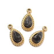 304 Stainless Steel Pave Natural Labradorite Teardrop Charms, Real 14K Gold Plated, 10.5x6x4mm, Hole: 1.4mm(STAS-B074-04G-03)