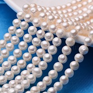 Natural Cultured Freshwater Pearl Beads Strands, Round, Seashell Color, 6~6.5mm, Hole: 0.8mm, about 59~60pcs/strand, 14.17 inch(36cm)(PEAR-E009-6-6.5mm)