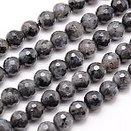 Natural Larvikite Beads Strands, Faceted, Round, Gray, 10mm, Hole: 1mm, about 37~38pcs/strand, 14.76''(37.5cm)(G-G736-01-10mm)