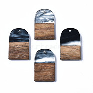 Transparent Resin & Walnut Wood Pendants, Two Tone, Half Oval, Black, 26x16x3mm, Hole: 2mm(RESI-T035-32D)