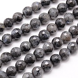 Natural Larvikite Beads Strands, Faceted, Round, Gray, 10mm, Hole: 1mm, about 37~38pcs/strand, 14.76''(37.5cm)(G-G736-01-10mm)