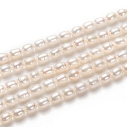 Natural Cultured Freshwater Pearl Beads Strands, Rice, White, 5x4mm, Hole: 0.5mm, about 70pcs/strand, 14.57 inch(37cm)(PEAR-J005-59)