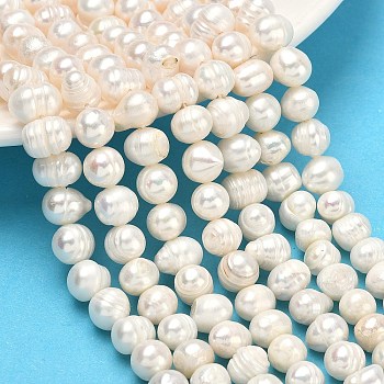 Natural Cultured Freshwater Pearl Beads Strands, Potato, Grade AB+, Antique White, 7~8mm, Hole: 0.6mm, about 48~50pcs/strand, 12.95~13.78''(32.9~35cm)