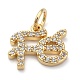 Brass Micro Pave Clear Cubic Zirconia Charms(X-ZIRC-A013-24G)-1