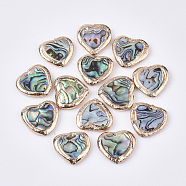 Abalone Shell/Paua Shell Beads, with Polymer Clay Edge Golden Plated, Heart, 18~19x19~20x4mm, Hole: 0.8mm(G-N0323-001)
