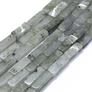Natural Labradorite Beads Strands, Cuboid, 12.5~13.5x3~5x3~4.5mm, Hole: 1mm, about 30~32pcs/strand, 15.1~15.9 inch(38.5~40.5cm)(G-F631-E22)