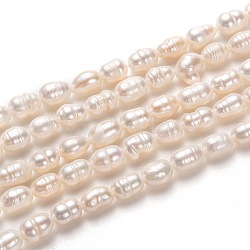 Natural Cultured Freshwater Pearl Beads Strands, Rice, Bisque, 6~8x4~5mm, Hole: 0.7mm, about 52pcs/strand, 13.39 inch(34cm)(PEAR-J005-60)