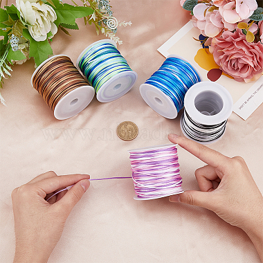 SUPERFINDINGS 5 Rolls 5 Colors Segment Dyed Nylon Thread Cord(NWIR-FH0001-04A)-3