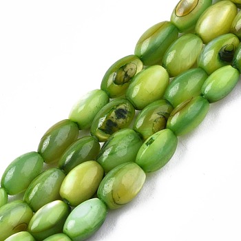 Freshwater Shell Beads Strands, Dyed, Oval, Olive Drab, 4~5x2.5~4mm, Hole: 0.6mm, about 77~79pcs/strand, 14.57 inch~15.16 inch(37cm~38.5cm)