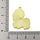 pendentifs en émail en alliage(ENAM-Z015-01G-01)-3