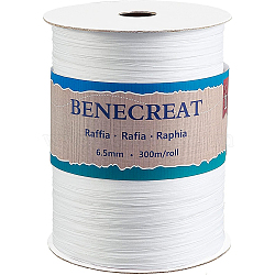 1 Roll Raffia Paper Cords for DIY Jewelry Making, Paper Twine, White, 1/4 inch(8mm), 300m/roll, 1roll/set(OCOR-BC0001-54B)