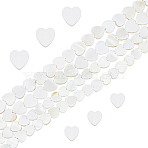 2 Strands 2 Styles Natural Freshwater Shell Beads Strands, Heart, White, 8~11x8~11x2.5~3mm, Hole: 0.5mm, about 39~50pcs/strand, 14.96~15.35 inch(38~39cm), 1 strand/style(SHEL-FH0001-26)