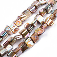 Natural Freshwater Shell Beads Strands, AB Color Plated, Nuggets, Peru, 7~14x6.5~9x5~9mm, Hole: 0.8mm, about 46~47pcs/strand, 14.96 inch~15.35 inch(38~39cm)(SHEL-N026-211)