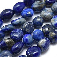 Natural Lapis Lazuli Beads Strands, Tumbled Stone, Nuggets, 10~11x7~8x5~6mm, Hole: 0.8mm, about 37pcs/Strand, 15.75 inch(40cm)(G-O186-B-17)