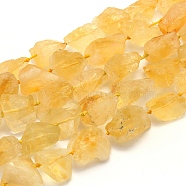 Rough Raw Natural Citrine Beads Strands, Nuggets, 14~24x10~20mm, Hole: 1mm, 16.5 inch(41.9cm)(G-K202-17B)