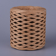 Eco-Friendly Raffia Paper Cords, Gift Box String/Cord, Camel, 4mm, about 218.72 yards(200m)/roll(OCOR-WH0046-01)