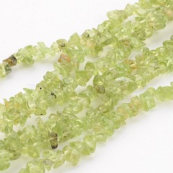 Peridot Gemstone Beads, Chip, about 3~4mm wide, hole: about 0.3mm, about 32~32.5 inch(F045)
