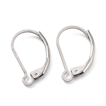 Non-Tarnish 304 Stainless Steel Leverback Earring Findings, Stainless Steel Color, 16.5x10x2mm, Pin: 1mm