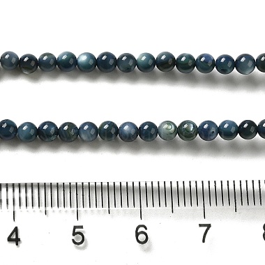 Natural Freshwater Shell Beads Strands(X-SHEL-H003-03C)-4