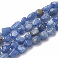 Natural Kyanite/Cyanite/Disthene Beads Strands, Tumbled Stone, Nuggets, 6~11x5~7x3~5mm, Hole: 1mm, about 51pcs/strand, 15.7 inch(G-S290-01)